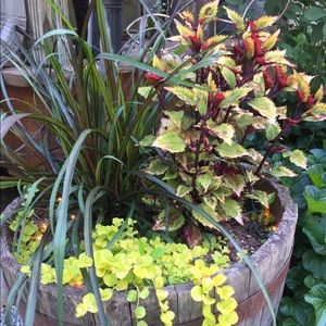 Meet your Posher, Beverly